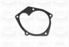 GRAF PA1097 Water Pump
